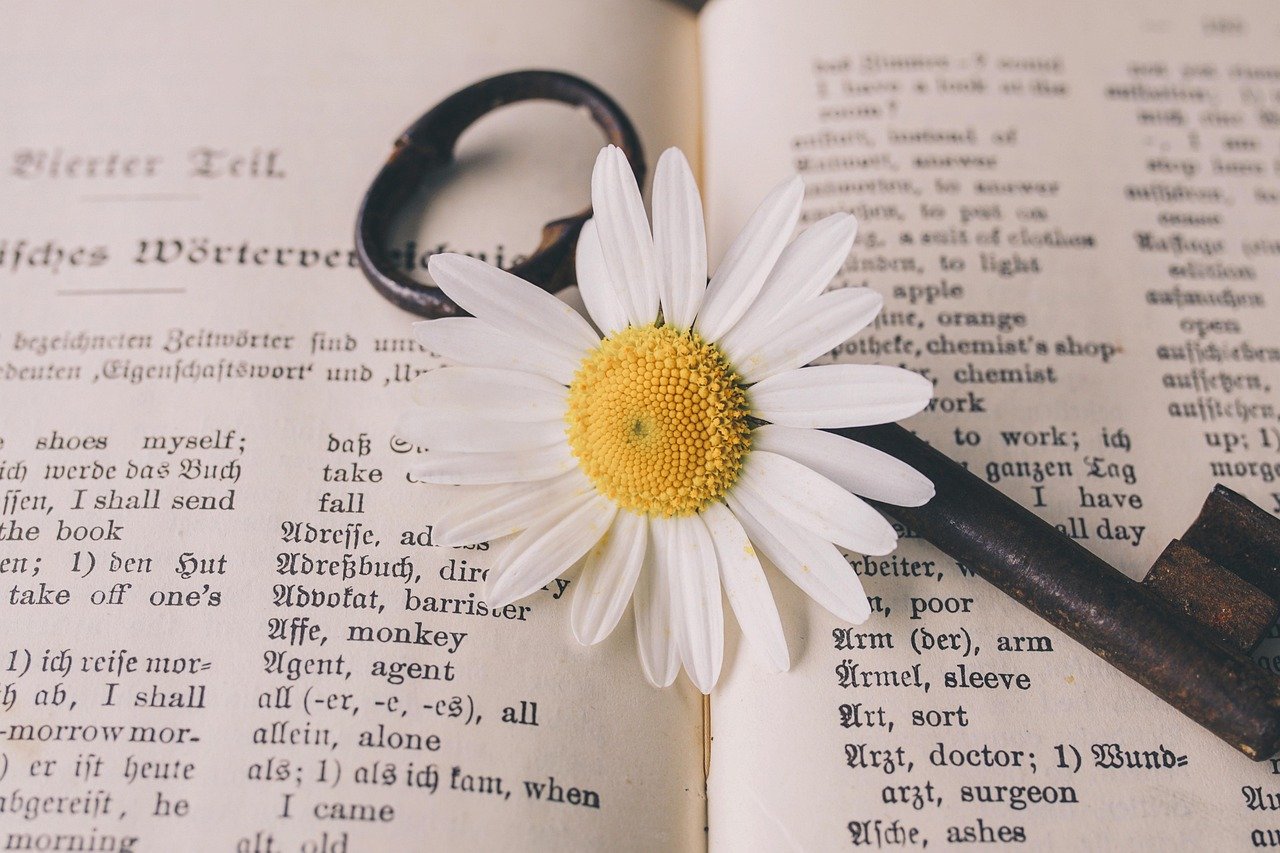 key, old, nature, flower, nostalgic, vintage, marguerite, blossom, bloom, flower wallpaper, rust, metal, antique, dictionary, german-english, flower background, beautiful flowers, translation, words, a book