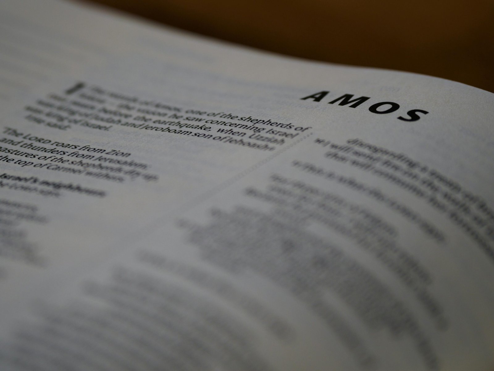 Detailed shot of the book of Amos in the Bible with blurred background for focus on the text.